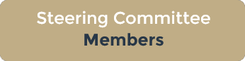 steering committee icon