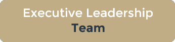 executive leadership icon